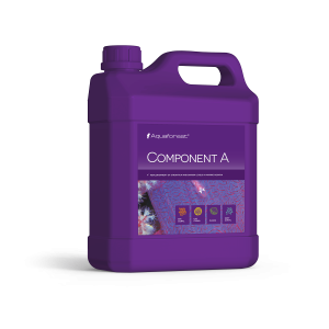 Component A 2L