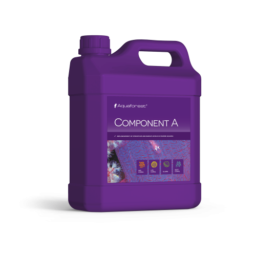 Component A 2L