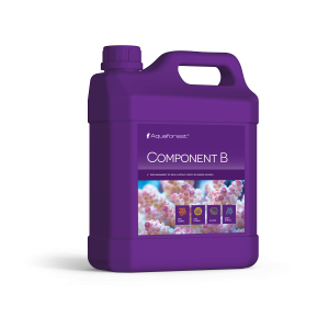 Component B 2L