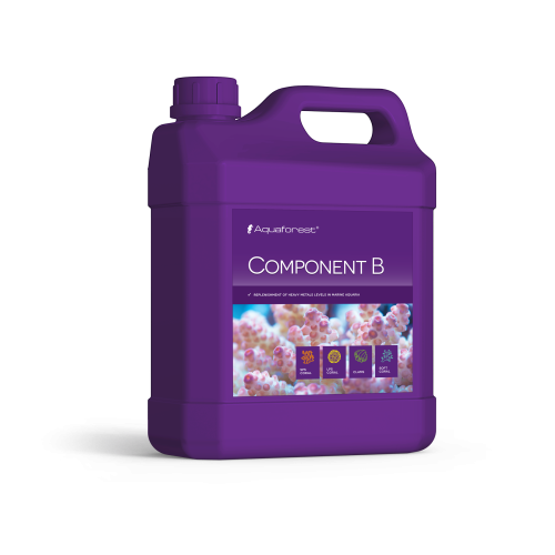 Component B 2L