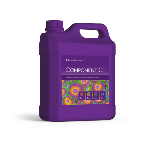 Component C 2L