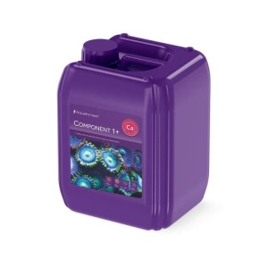 Component 1+ 5l