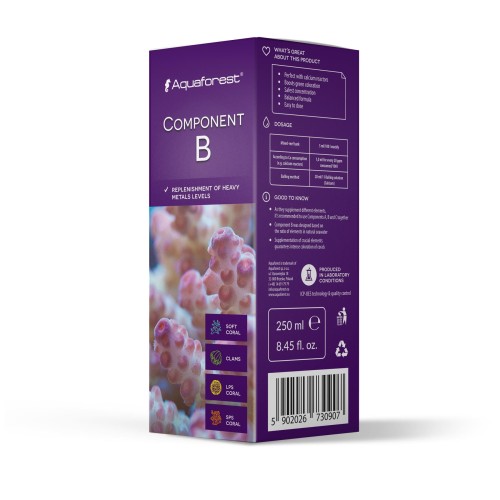 Component B 250ml