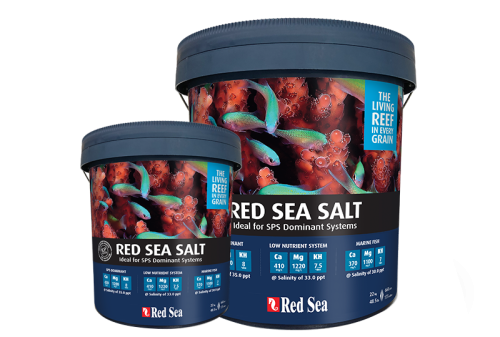 Red Sea Salt 22kg sól morska