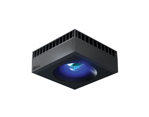 Red Sea ReefLed 50 -  Zaawansowana lampa LED do Akwarium Morskiego