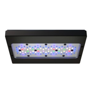 EcoTech Radion XR30 G6 PRO - lampa led