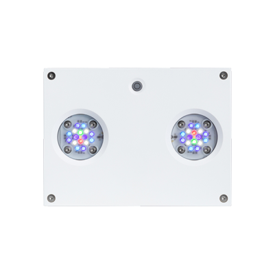 AquaIllumination Hydra 32 HD biała - Inteligentne oświetlenie LED do akwarium morskiego