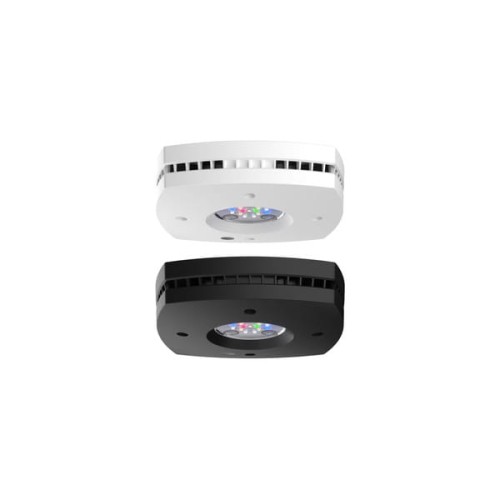 AI Prime 16HD - aquarium 16-LED lampa biała