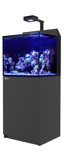 Red Sea Max E-170 LED Black - zestaw akwarium z szafką i lampą