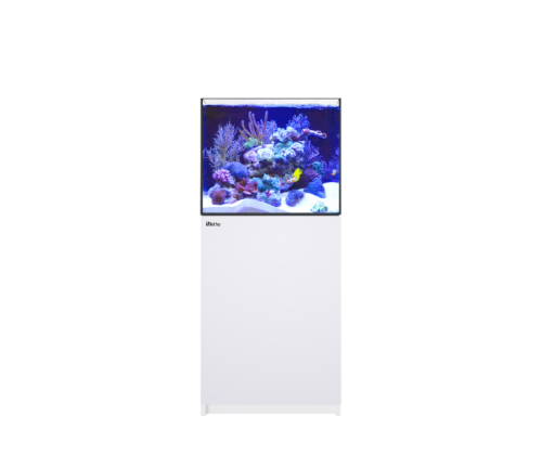 Red Sea REEFER 200 G2+ Deluxe System White - zestaw akwarium z szafką i lampą