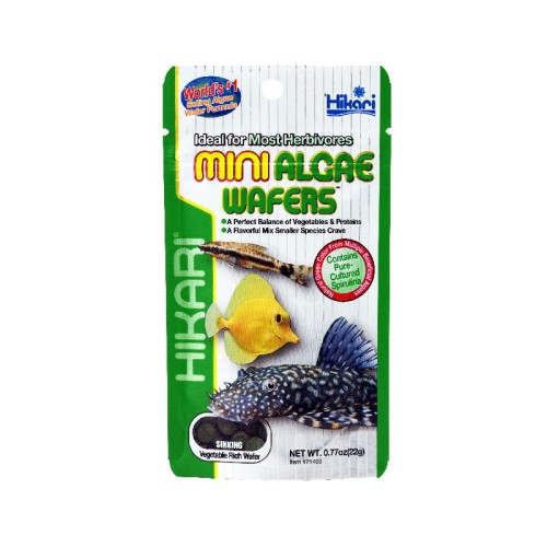 Hikari Mini Algae Wafers 22gr