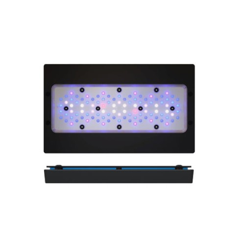 EcoTech Radion XR30 G6 BLUE LED