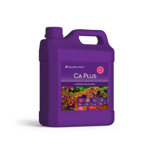 CA Plus 2000ml NEW
