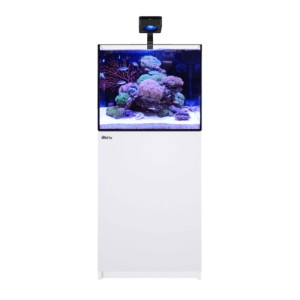REEFER 170 G3 Deluxe System - Biały (w zestawie 1 x RL115 i uchwyt do lampy) - R45114-EUR