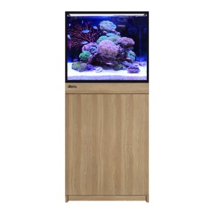 Red Sea REEF-FRAME 170 Szafka w kolorze dębu - R45402