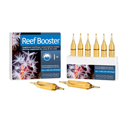 Prodibio Reef Booster suplement dla korali 1 ampułka